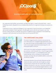 Preview of the Borough Council Case Study