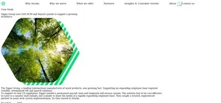 Preview of the EGGER Group Case Study