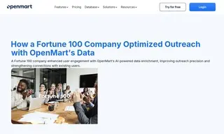 Preview of the Fortune 100 Company Case Study