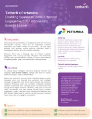 Preview of the Pertamina Case Study