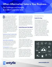 Preview of the Fortune 500 Manufacturer Case Study