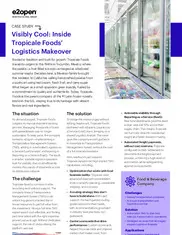 Preview of the Tropicale Foods Case Study