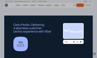Preview of the Cebu Pacific Case Study