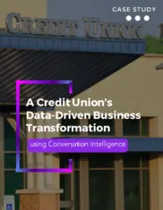 Preview of the Large Credit Union Company Case Study