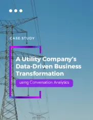 Preview of the North American Utility Company Case Study