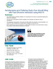 Preview of the Aircraft Wing Company Case Study