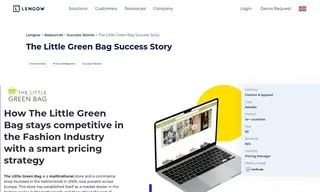 Preview of the The Little Green Bag Case Study