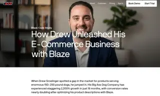 Preview of the Big Ass Dog Company Case Study