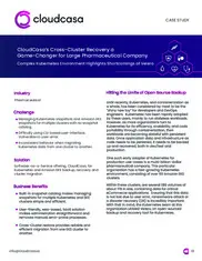 Preview of the Large Pharmaceutical Company Case Study