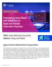 Preview of the Zema Global Case Study