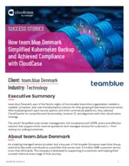 Preview of the Team.blue Case Study
