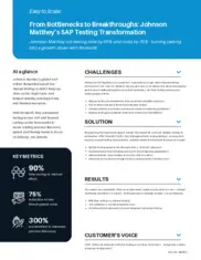 Preview of the Johnson Matthey Case Study