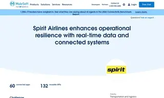 Preview of the Spirit Case Study