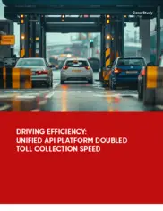 Preview of the US-Based Tolling Authority Case Study