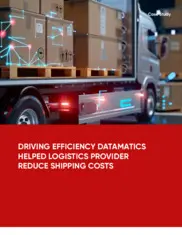 Preview of the Leading Logistics and Supply Chain Solutions Provider Case Study