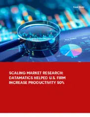 Preview of the Leading Market Research Organization Case Study