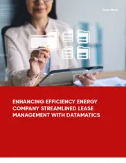 Preview of the India's Largest Integrated Power Company Case Study