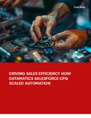 Preview of the Leading Electrical Products Distributor Case Study