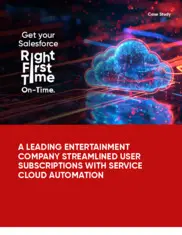 Preview of the Leading Digital Entertainment Provider Case Study