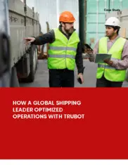 Preview of the Global Transportation and Shipping Leader Case Study
