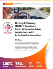 Preview of the HEDEHI Solutions Case Study