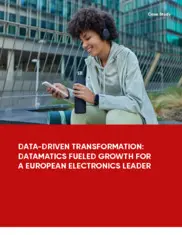 Preview of the European Multinational Company Case Study