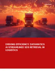 Preview of the Leading US-Based Provider Case Study