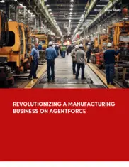 Preview of the Largest Structural Composites Producer Case Study