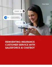 Preview of the Well Established Regional Insurance Provider Case Study