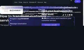 Preview of the The SCHIRP Asesores Case Study