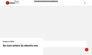 Preview of the Peugeot Case Study