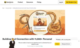 Preview of the Rattlesnake Cable Company Case Study