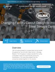 Preview of the TBS Consulting Case Study