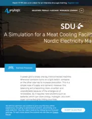 Preview of the University of Southern Denmark Case Study