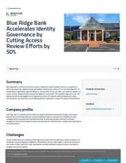 Preview of the Blue Ridge Bank Case Study