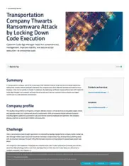 Preview of the Transportation Company Case Study