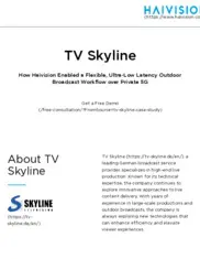 Preview of the TV Skyline​ Case Study