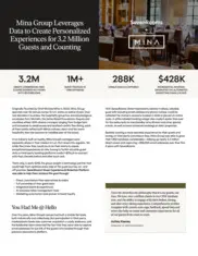 Preview of the Mina Group Case Study