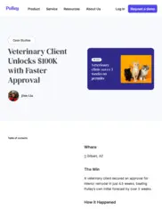 Preview of the Large Veterinary Brand Case Study