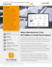 Preview of the Major Footwear and Eyewear Manufacturer Case Study