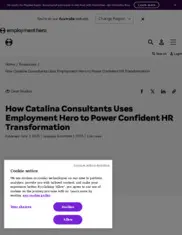 Preview of the Catalina Consultants Case Study