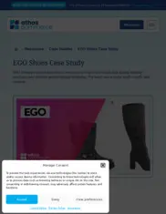 Preview of the Ego Shoes Case Study