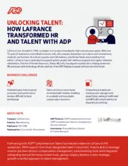 Preview of the LaFrance Corp Case Study