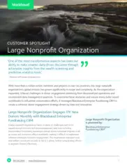 Preview of the Large Nonprofit Organization Case Study