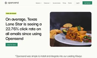 Preview of the Texas Lone Star Tamales Case Study