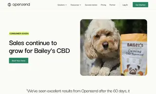Preview of the Bailey's CBD Case Study