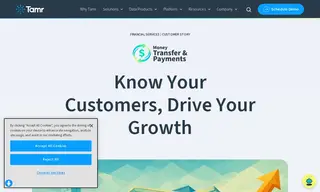 Preview of the Global Money Transfer and Financial Services Company Case Study