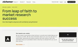 Preview of the Vibe Insights Lab Case Study