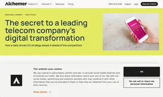 Preview of the Leading Telecommunications Company Case Study