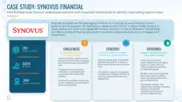 Preview of the Synovus Case Study